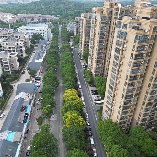 蚌埠高新区道路及配套基础设施建设项目（住宅小区雨污分流提升改造工程二期，文锦路、张公山路改造工程）项目