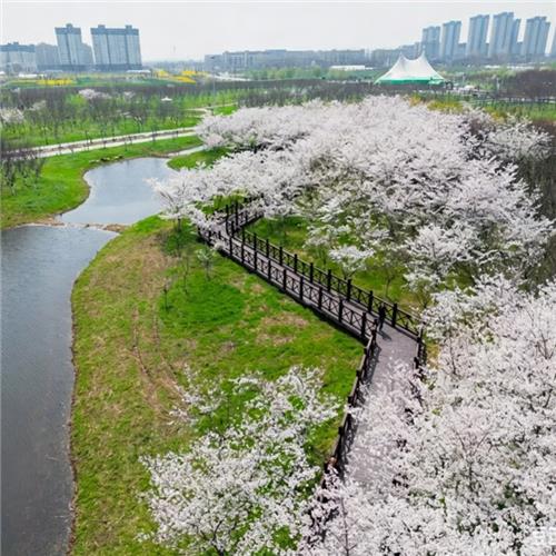 固镇樱花园新建及维修工程
